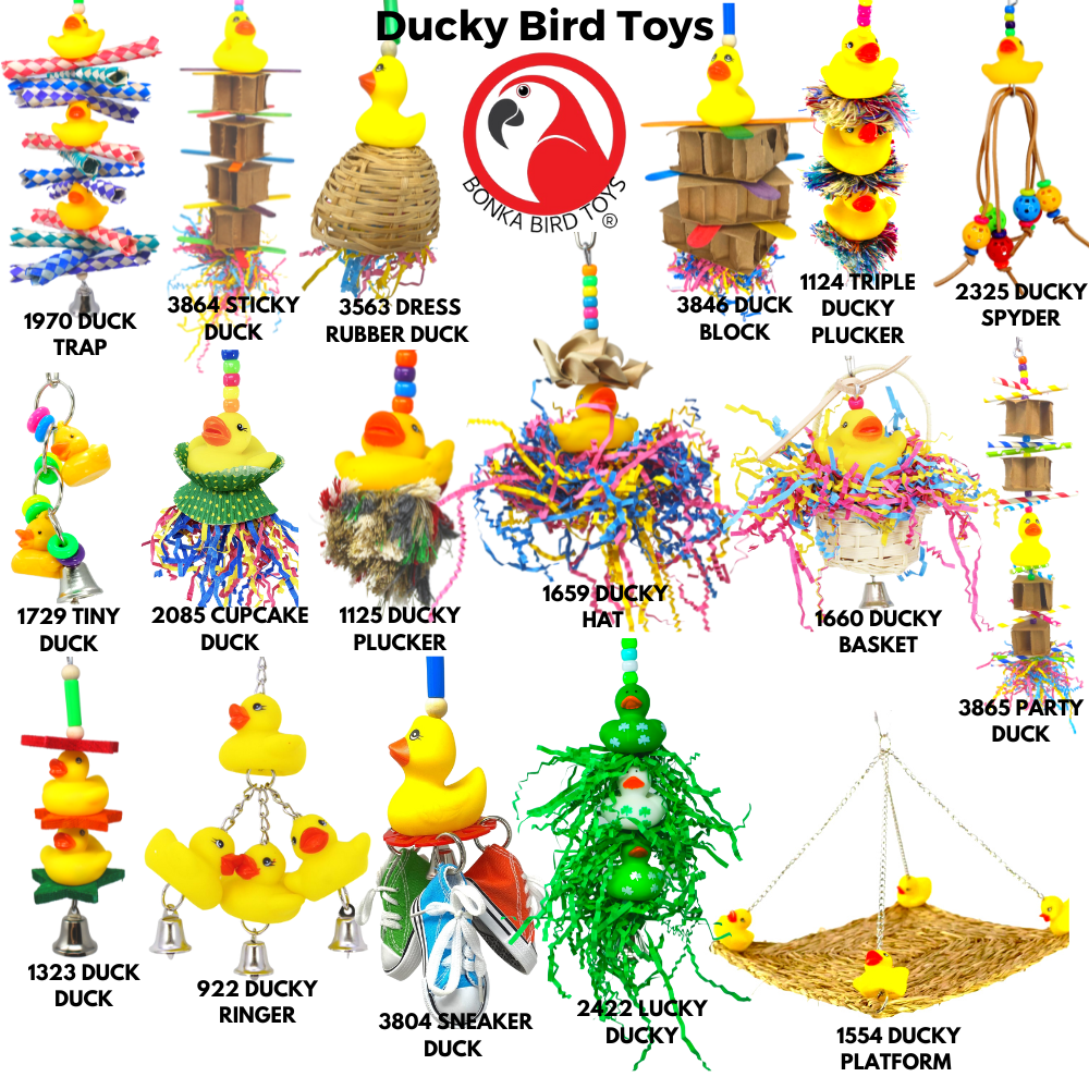 DuckyBird Toys