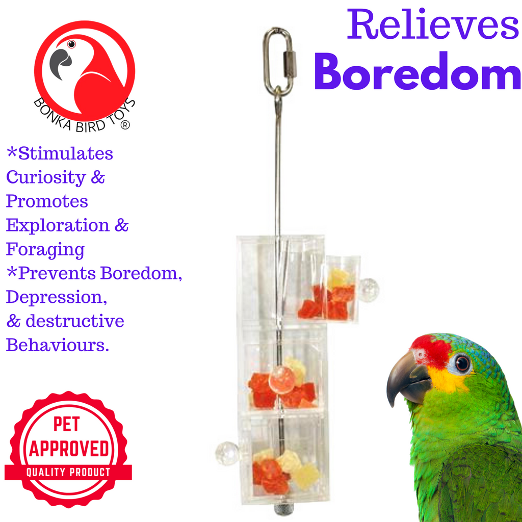 Bonka Bird Toys 2234 - Acrylic Foraging Box for Birds | Interactive Treat Puzzle Toy - Bonka Bird Toys