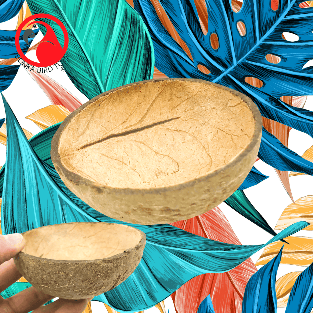 2054 Coconut Cup Flat Base - Bonka Bird Toys