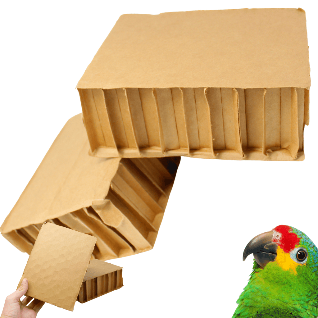 2292 Pk2 Jumbo 8 inch Box - Bonka Bird Toys