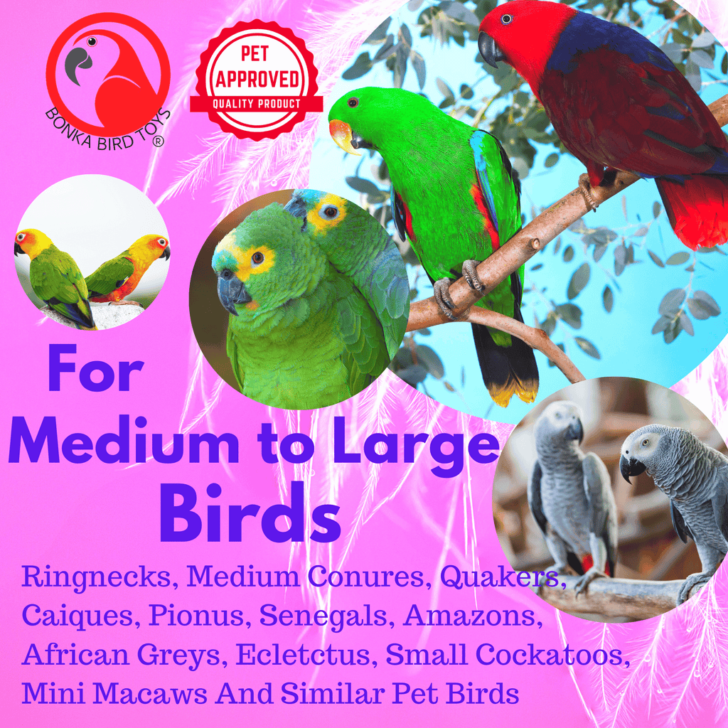 2881 Natural Foraging Heart - Bonka Bird Toys